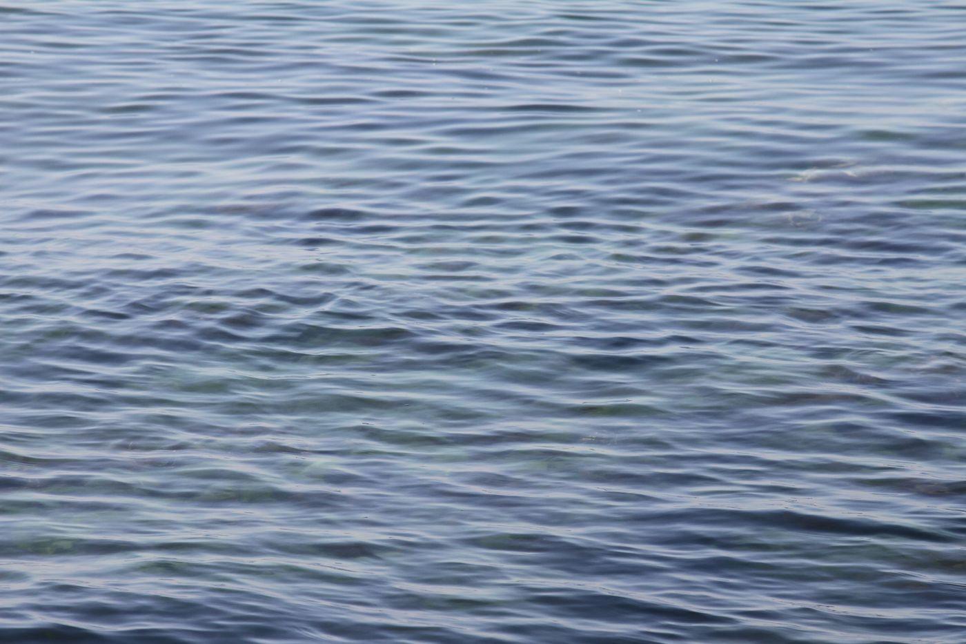 Sunlit ripples across the surface of open water